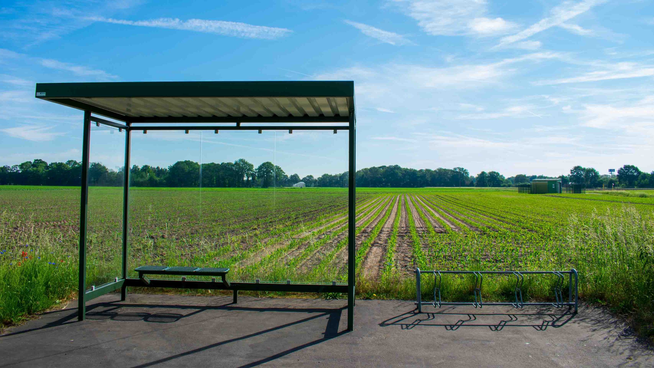 National Transit Database: Rural Reporting